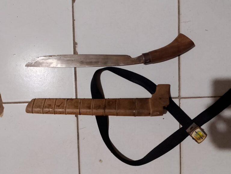 WhatsApp Image 2025-11-27 at 18.33.29 (1)