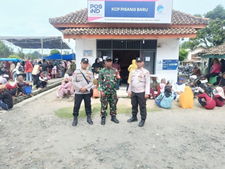 WhatsApp Image 2025-11-27 at 18.33.29